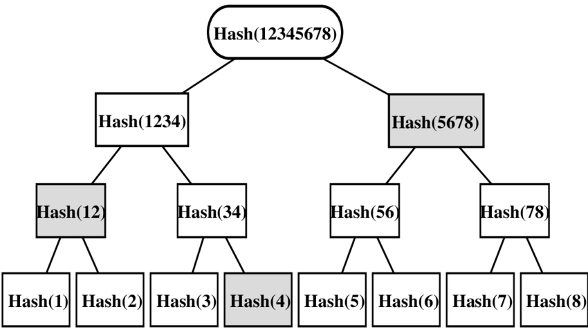 Checking the third block of a Merkle tree by computing the radical hash. The hash of each node (mother) is the hash (of the concatenation) of the two daughters. The hashes which are necessary and which have been informed to calculate the one of the top are grey.